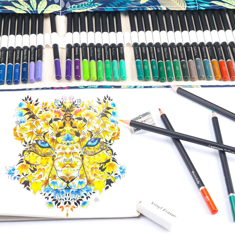 72-Hue Sketching Pencil Kit